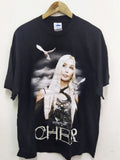 Band Tees Tennessee River Cher Living Proof Farewell Tour 2003 Hoodie, Sweatshirt | FlexRushtees.com