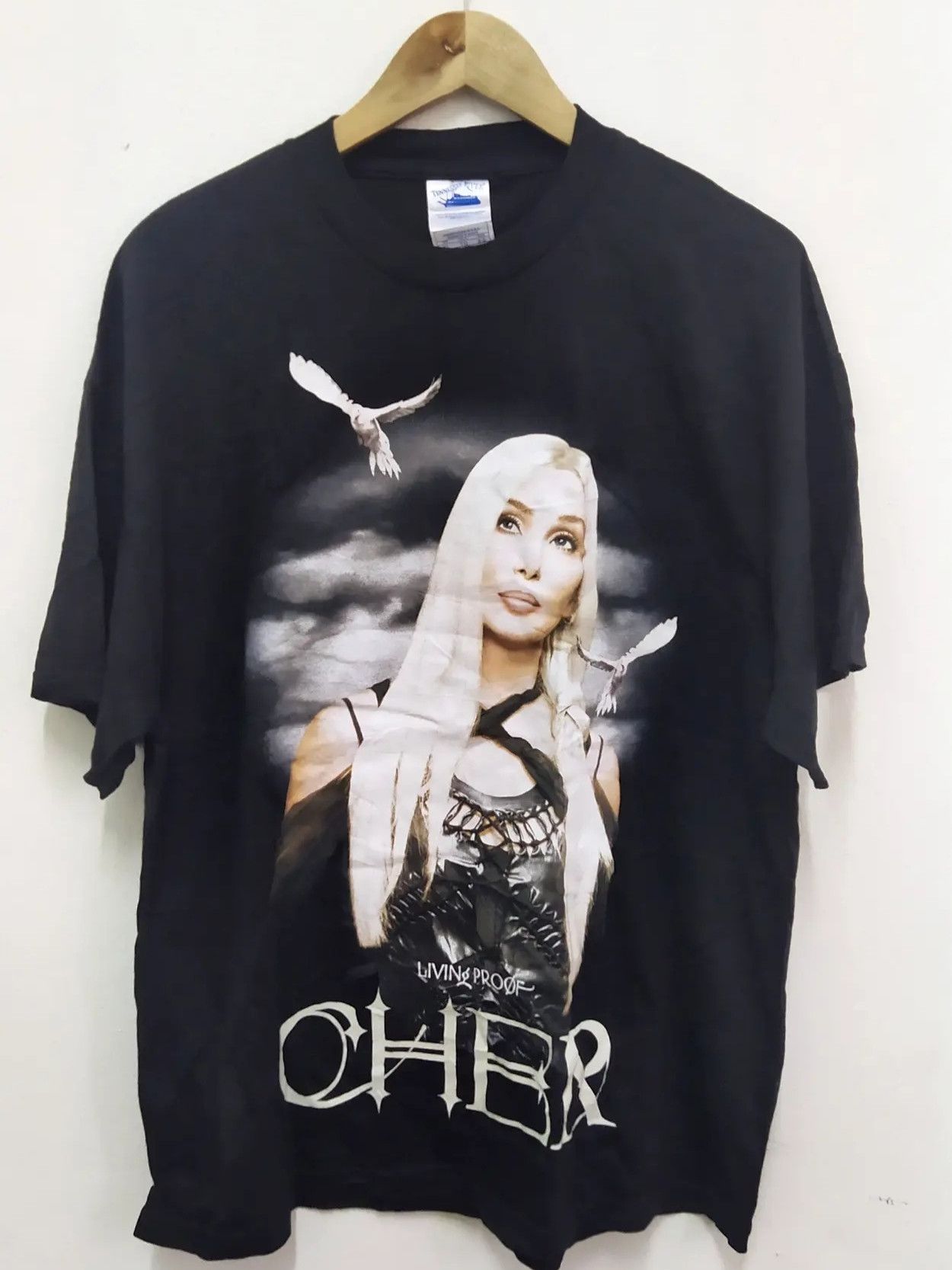 Band Tees Tennessee River Cher Living Proof Farewell Tour 2003 Hoodie, Sweatshirt | FlexRushtees.com