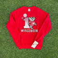 Ncaa X Vintage Nwt 90s Wisconsin Badgers Crewneck 1