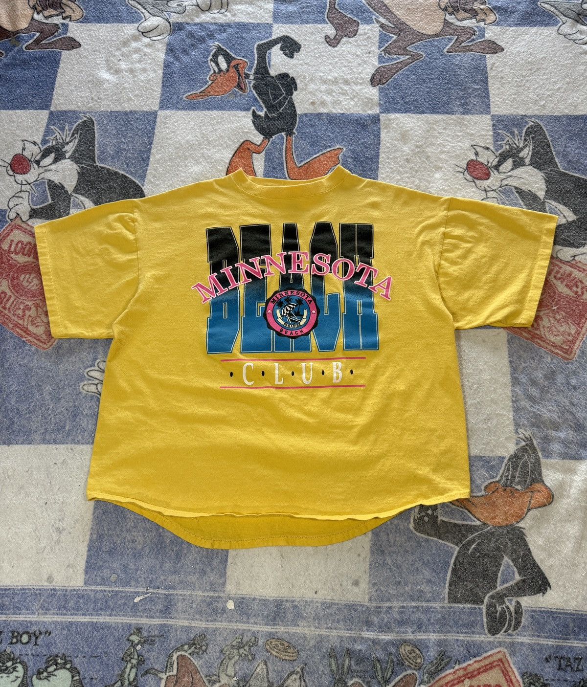 Vintage Minnesota Beach Club Tee