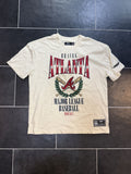 Standard Pro Standard Atlanta Braves Baseball T Shirt Hoodie, Sweatshirt | FlexRushtees.com