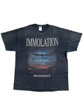 Band Tees Immolation Providence Tour 2012 Death Metal Shirt Hoodie, Sweatshirt | FlexRushtees.com