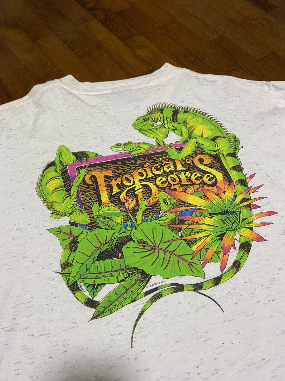Vintage 92 Tropical Degrees Iguana Oneita Power T Tee