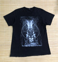 Band Tees Alice In Chains Official Merchandise Hoodie, Sweatshirt | FlexRushtees.com