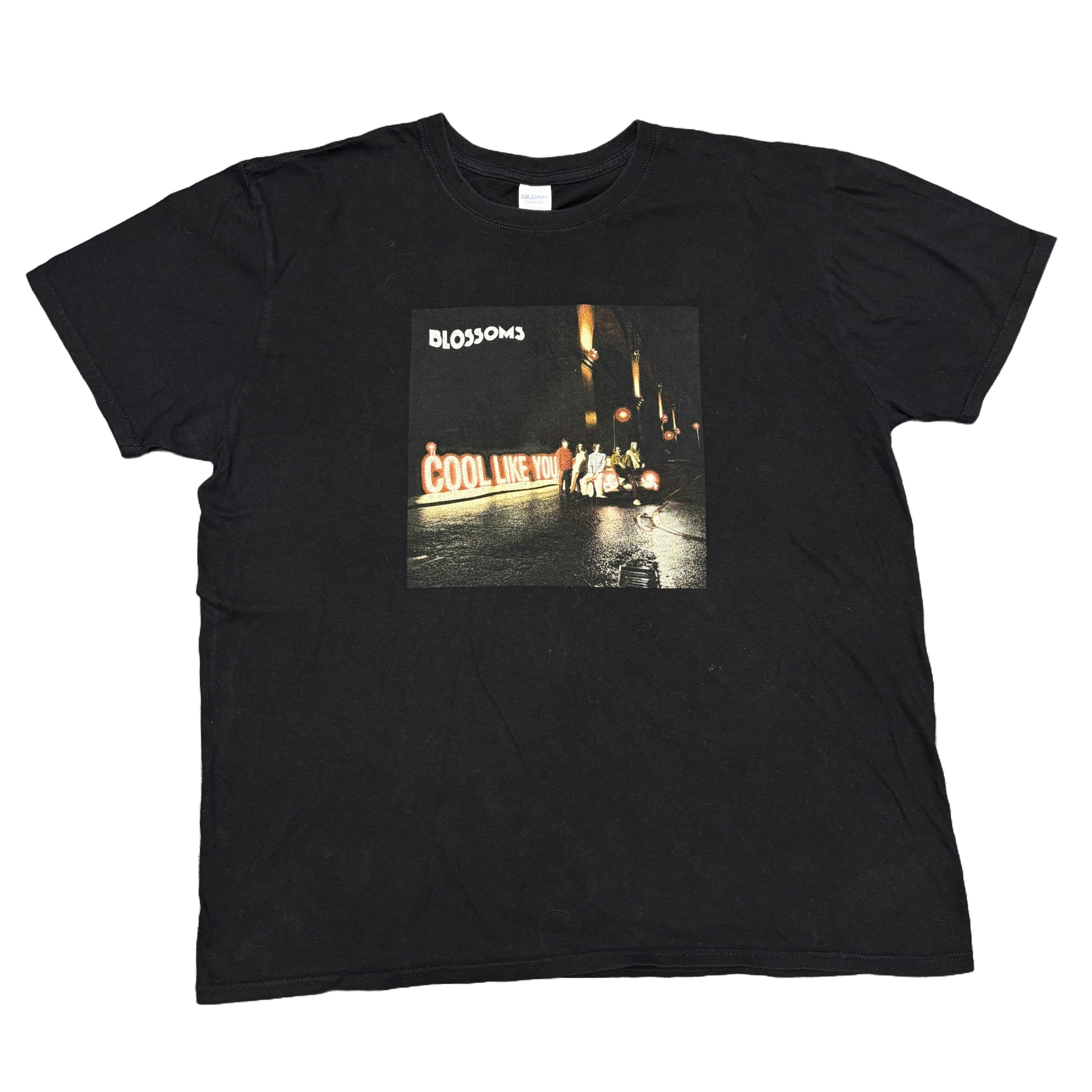 Blossoms Shirt Vintage Band Tees Arctic Monkeys The Strokes Hoodie, Sweatshirt | FlexRushtees.com