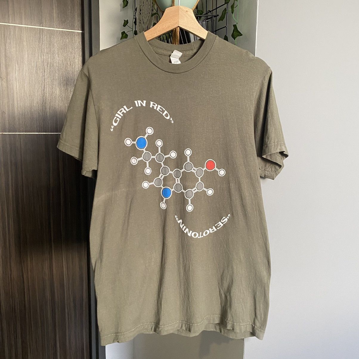 Band Tees Girl In Red Serotonin Song Indie Band Erd Grail Tee Hoodie, Sweatshirt | FlexRushtees.com