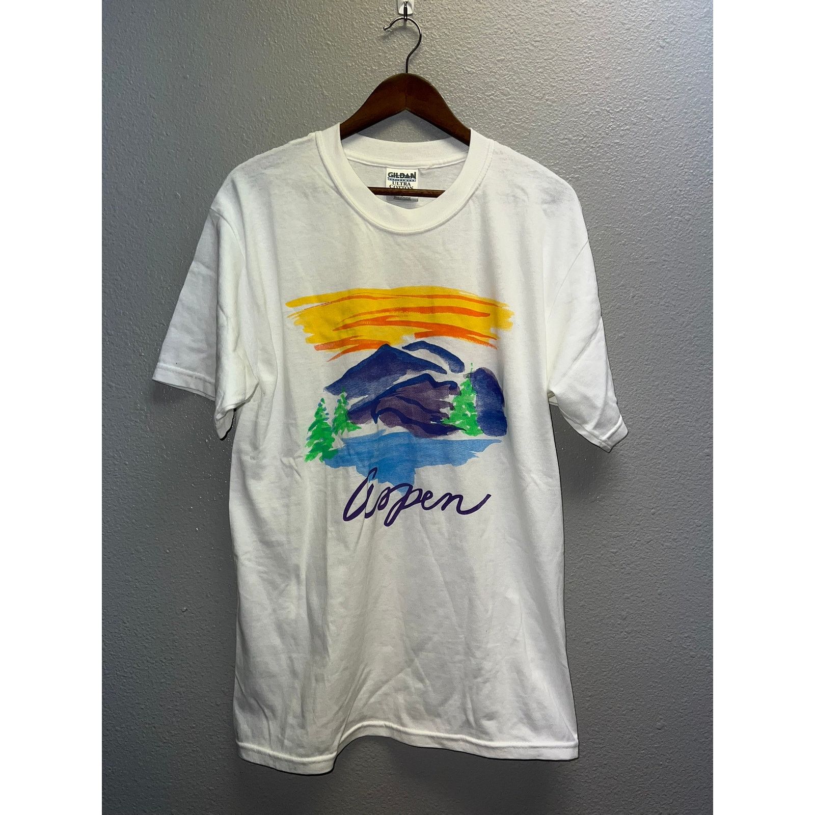 Gildan Vintage Aspen Shirt Co Colorado Nature Mountain Tee 90s L
