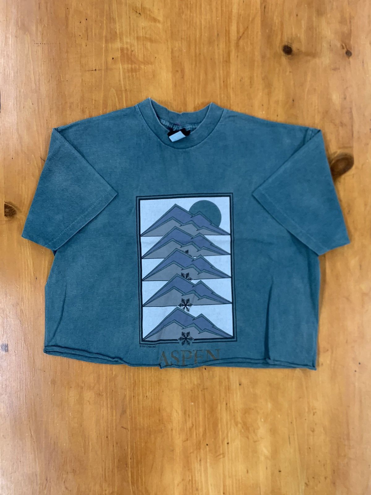Vintage 1991 Mountain Sunset Tee