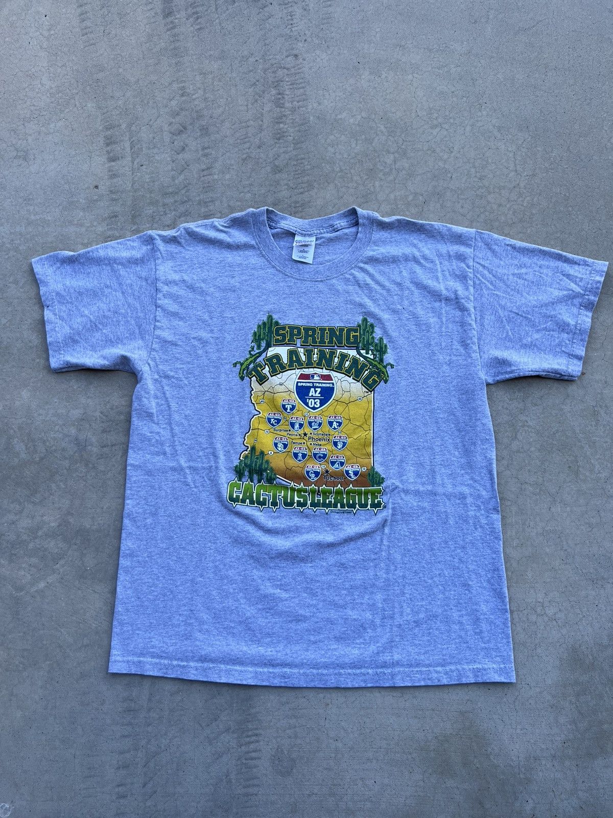 Vintage 2003 Cactus League Spring Training Tee Hoodie, Sweatshirt | FlexRushtees.com