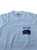 Vintage 90 S The Endless Summer Movie Tees Hoodie, Sweatshirt | FlexRushtees.com