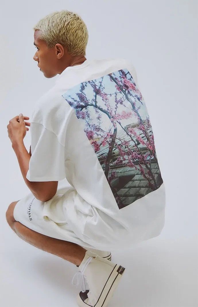 2019 Essentials Photo Tee White Hoodie, Sweatshirt | FlexRushtees.com