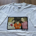 Band Tees Vintage 2000 Blink 182 Pop Punk Rock Band Promo Tee Y2k 00s Hoodie, Sweatshirt | FlexRushtees.com