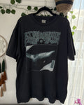 Ray European Tour Shirt Hoodie, Sweatshirt | FlexRushtees.com