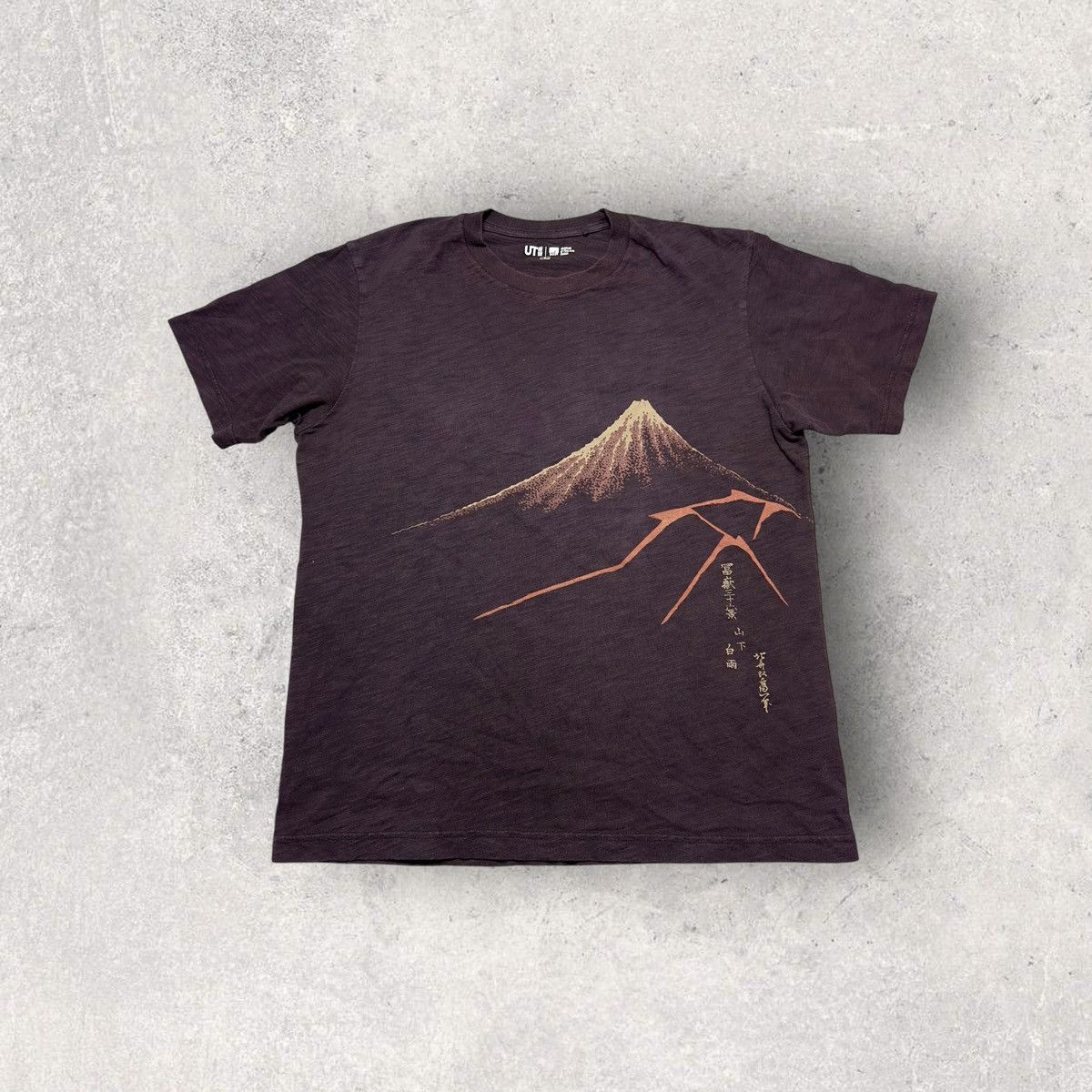 Uniqlo Boston Museum Of Fine Arts Tee Hoodie, Sweatshirt | FlexRushtees.com