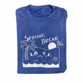 Vintage Spring Break Tee Hoodie, Sweatshirt | FlexRushtees.com