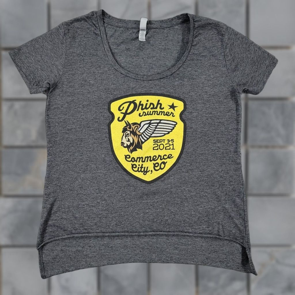 Next Level Phish Shirt Women Medium Gray Rock Band Summer Tour Graphic Tee Short Sleeve Top Hoodie, Sweatshirt