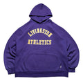Russell Athletic Vintage 90s Russell Athletics Faded Purple Hoodie Men S Xl