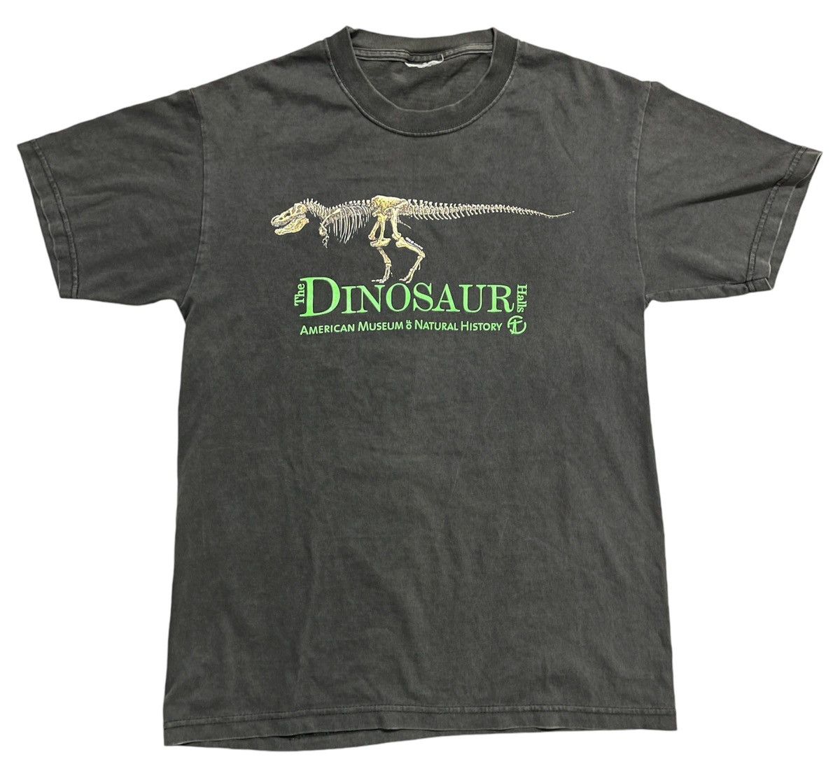 Vintage American Museum Dinosaur T Shirt Hoodie, Sweatshirt | FlexRushtees.com