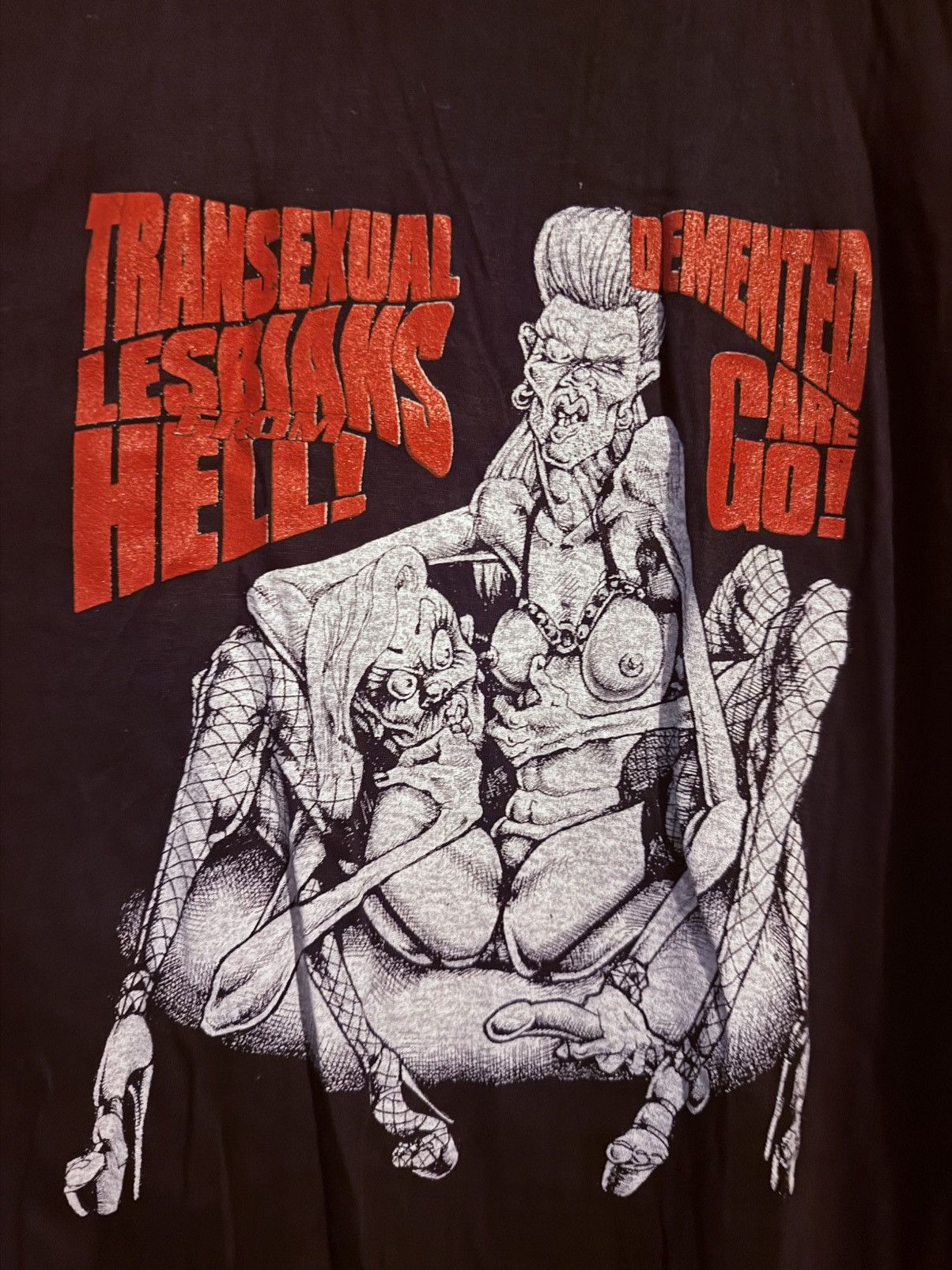 Other Demented Are Go Transexual Lesbians From Hell Tee Xl Hoodie, Sweatshirt | FlexRushtees.com
