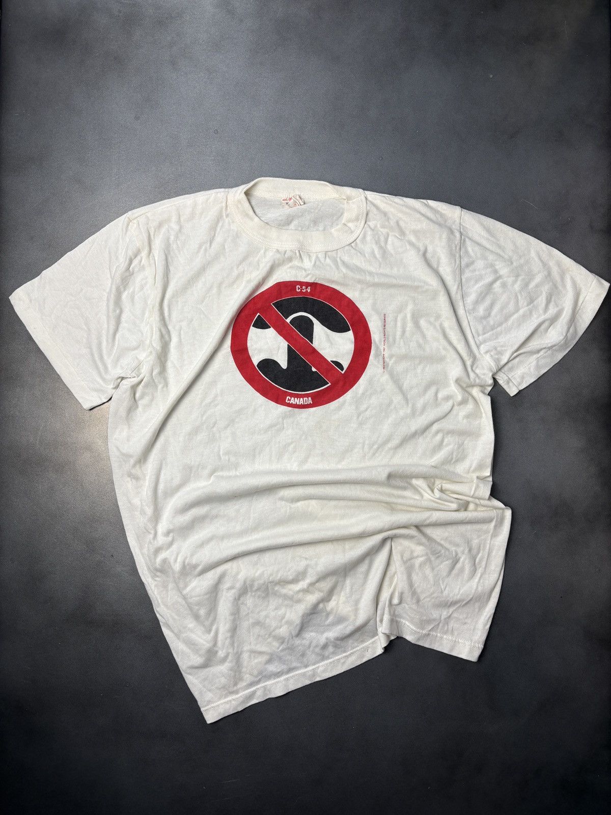 Vintage Political Protest Tee Kinda Sus Butt Sex Gay Or No Hoodie, Sweatshirt | FlexRushtees.com