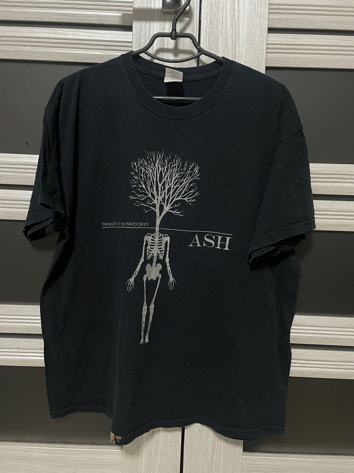 Vintage Ash Twilight Of The Innocent 2007 Tour Live Uk Tee Hoodie, Sweatshirt | FlexRushtees.com
