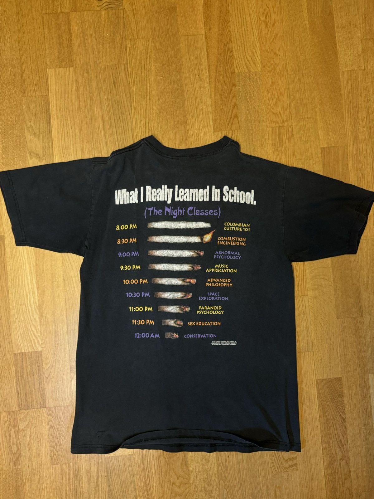 Vintage What I Really Learned In School Tee Hoodie, Sweatshirt | FlexRushtees.com