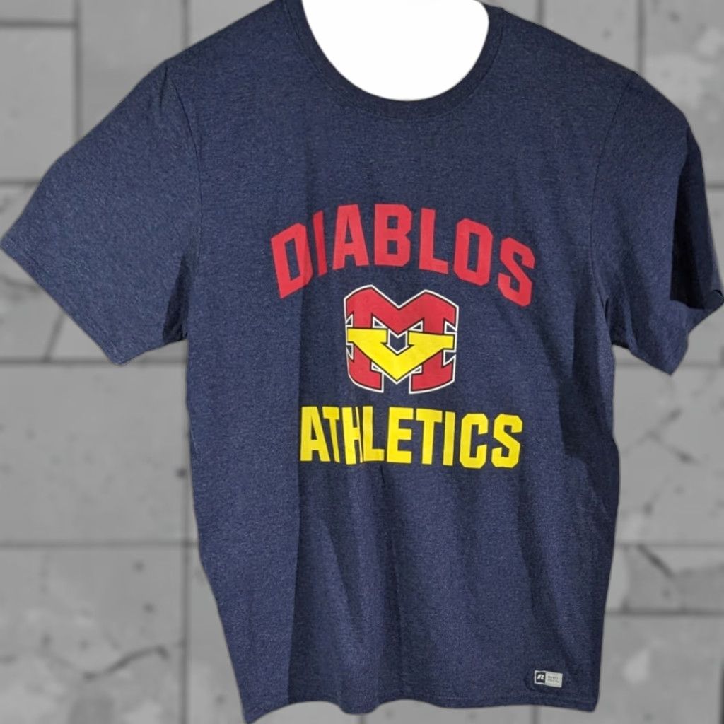 Russell Athletic Diablos School Tee Shirt Mens L Gray Heather Russell Athletics Shirt Mens L Gray He Hoodie, Sweatshirt