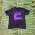 Band Tees Thrashed Faded Fall Out Boy Band Tee Hoodie, Sweatshirt | FlexRushtees.com