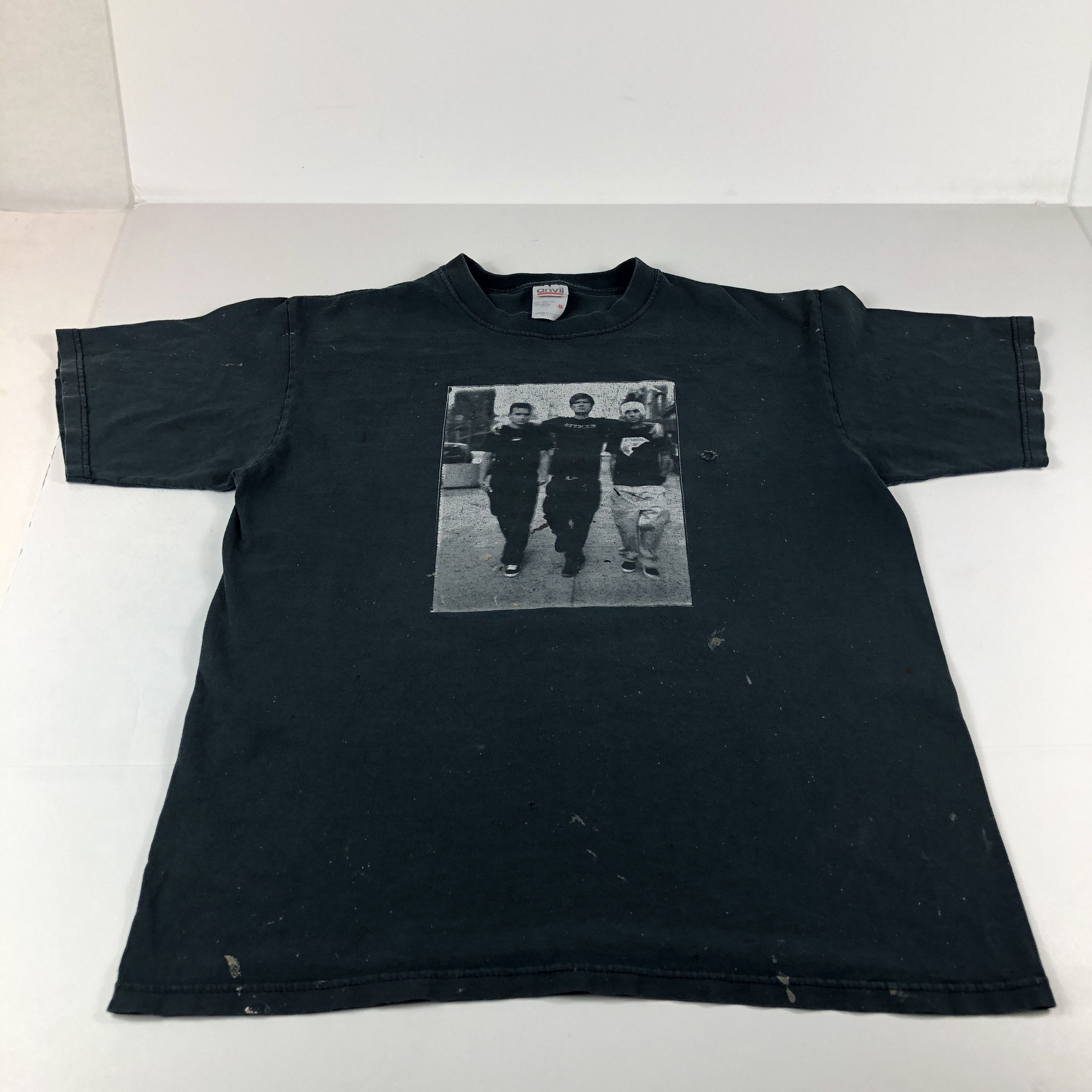 Anvil 2002 Blink 182 Pop Disaster Tour Faded Thrashed Photo Tee Hoodie, Sweatshirt | FlexRushtees.com