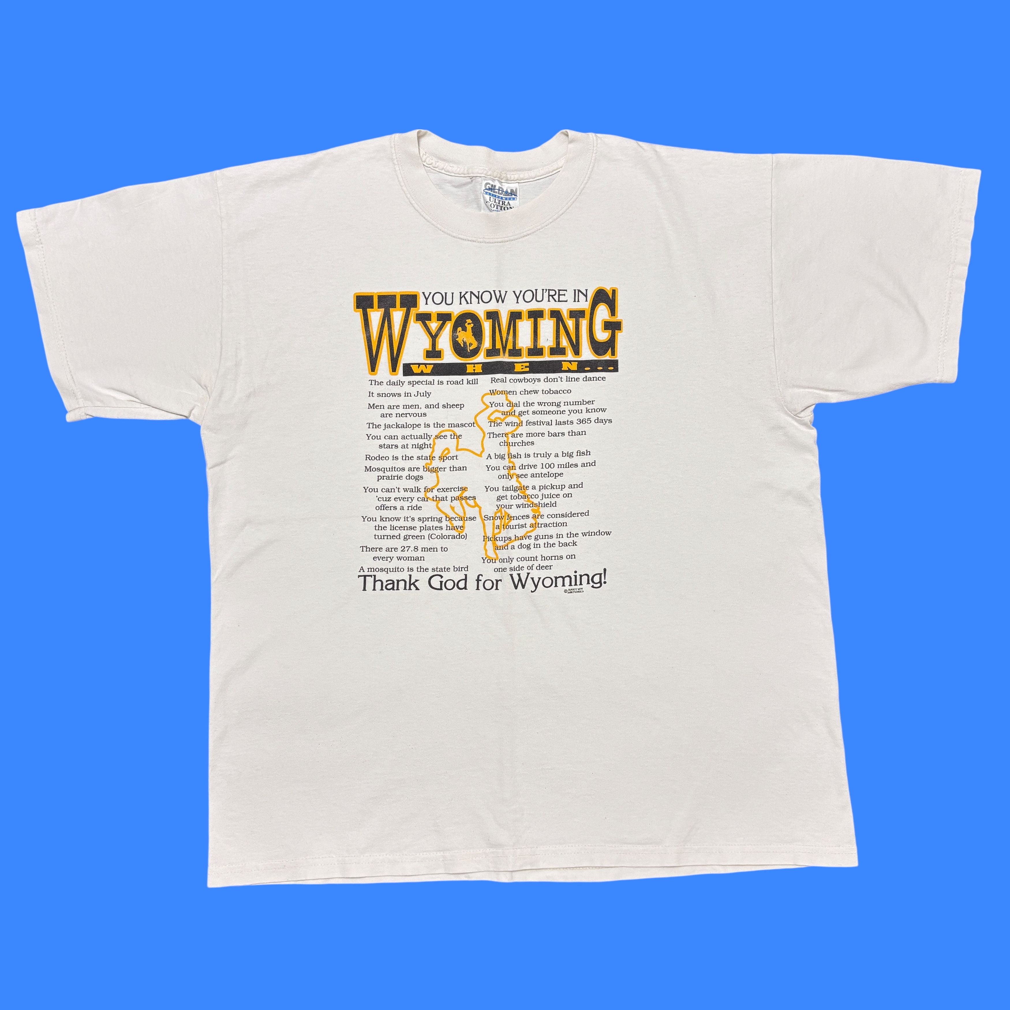 Vintage Humor Shirt Y2k Wyoming Usa Quote Graphic Tee Hoodie, Sweatshirt | FlexRushtees.com