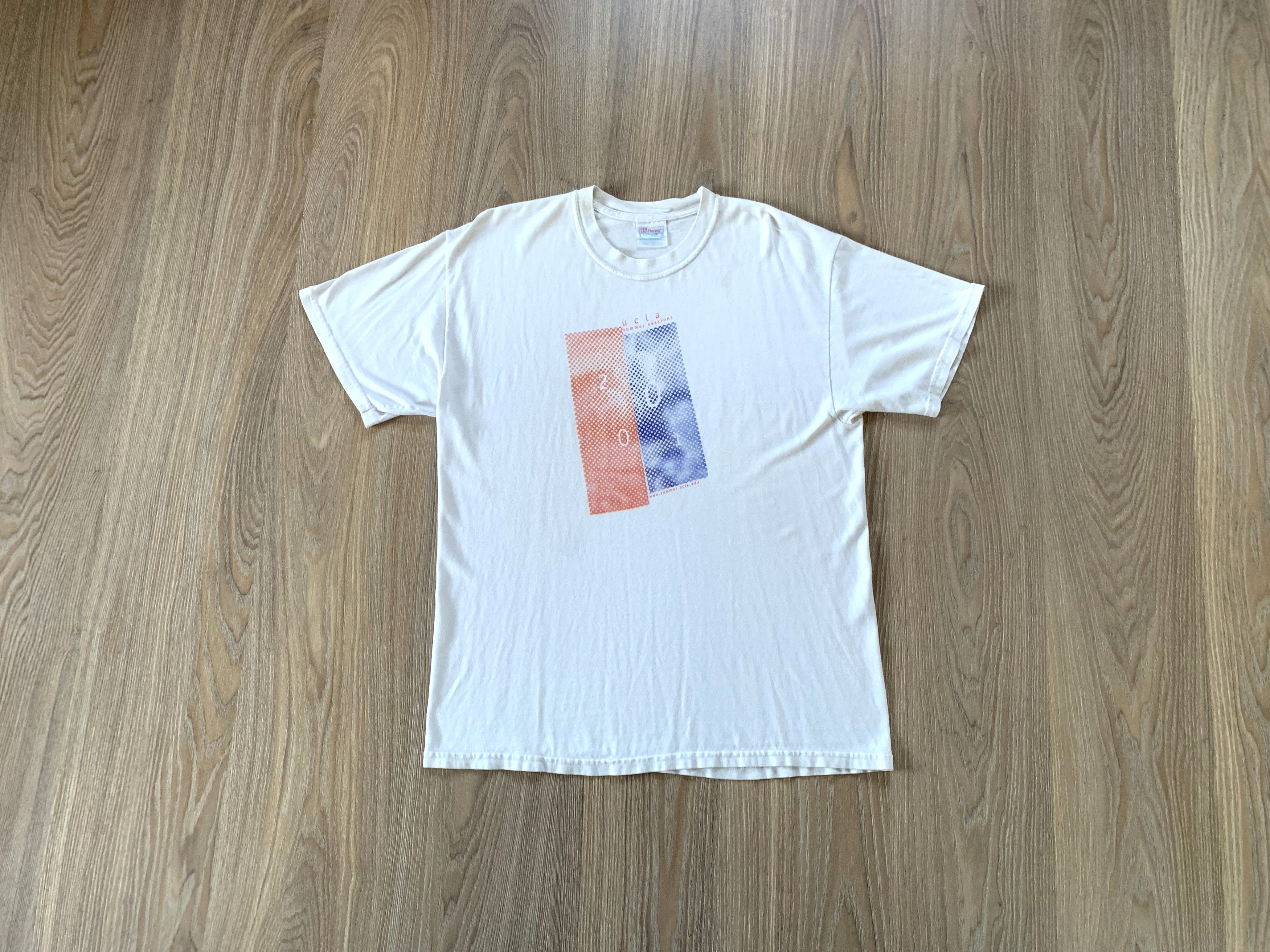 Vintage Hanes 2001 Ucla Summer Sessions T Shirt