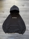 Other Brandy Melville Oversized Heavyweight Hoodie Hellraiser Y2k