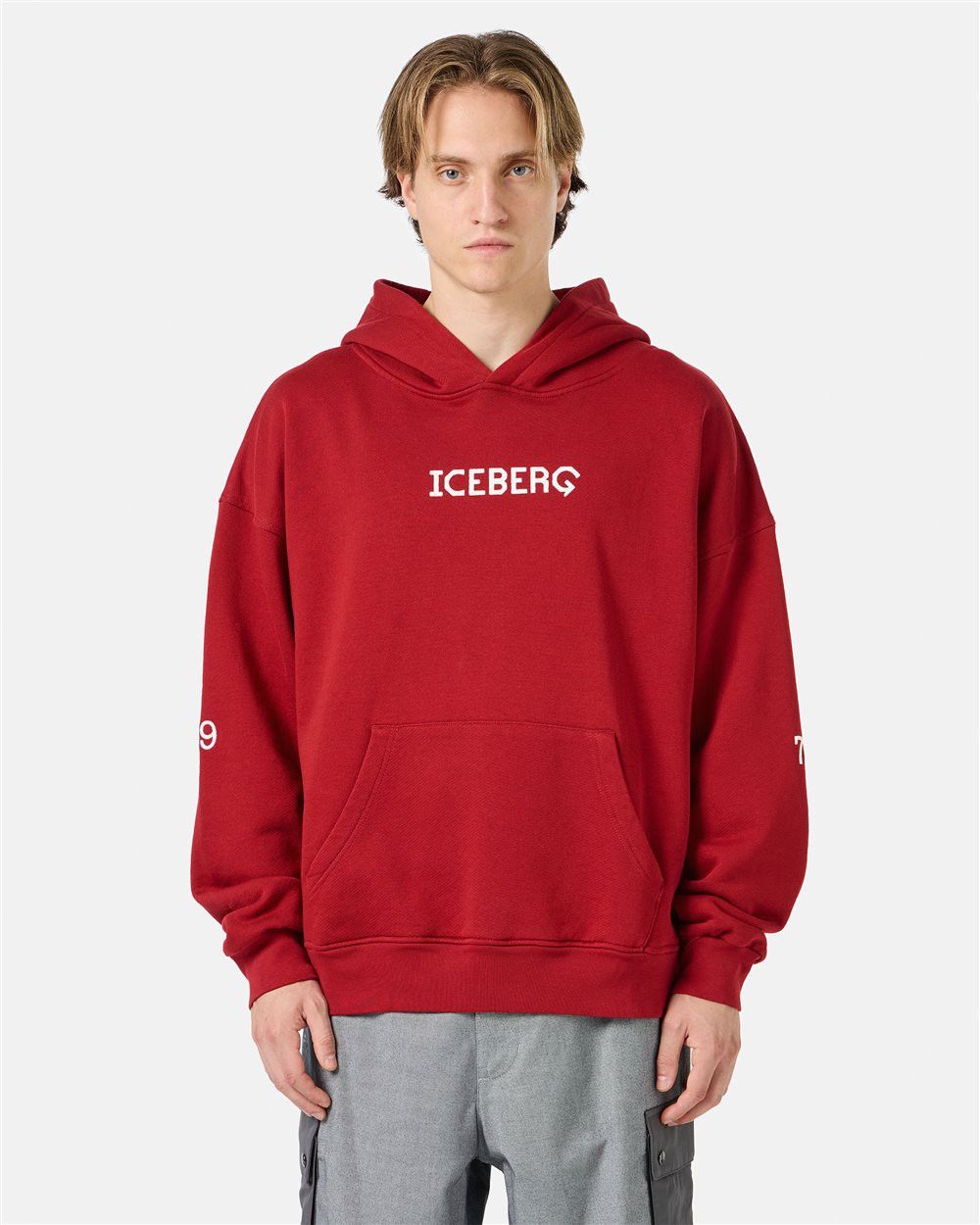 Iceberg Sweatshirt With Hood And Printed Logo T-Shirts, Hoodie | FlexRushtees.com
