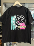 Band Tees Blink 182 T Shirt Hoodie, Sweatshirt | FlexRushtees.com