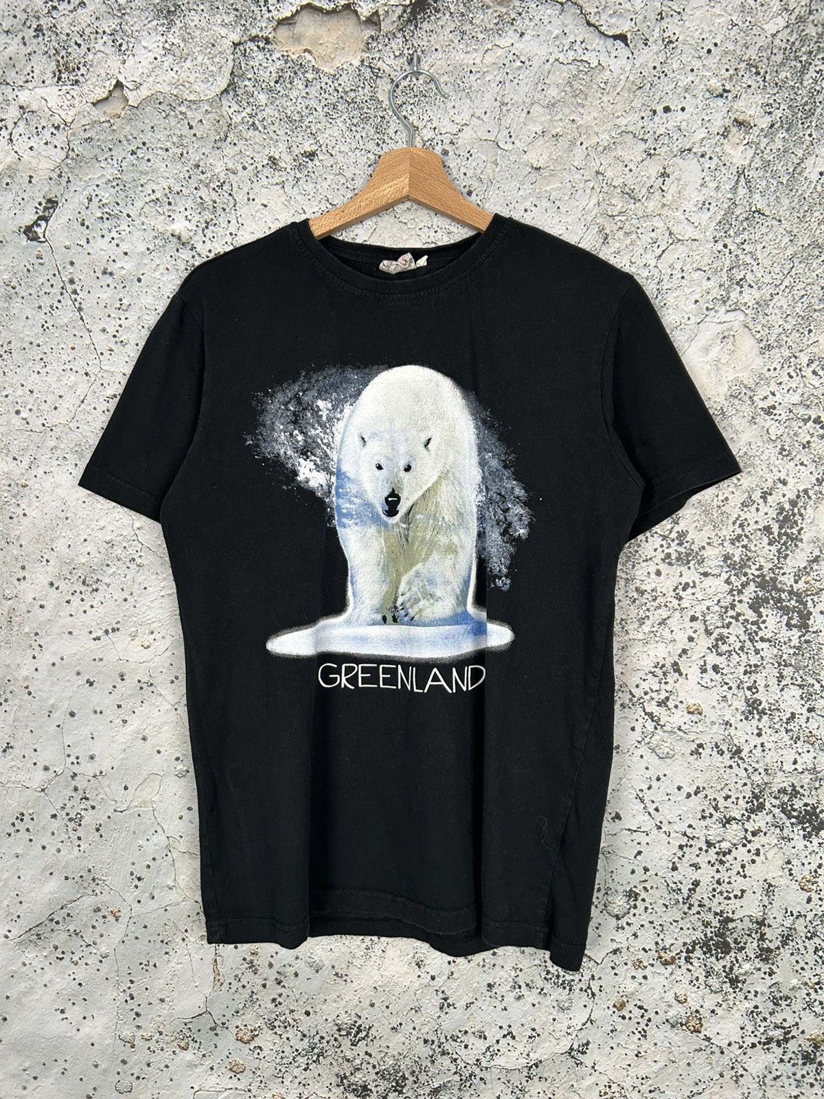 Vintage Greenland Animal Graphic Tee Polar Bear 90s Hoodie, Sweatshirt | FlexRushtees.com