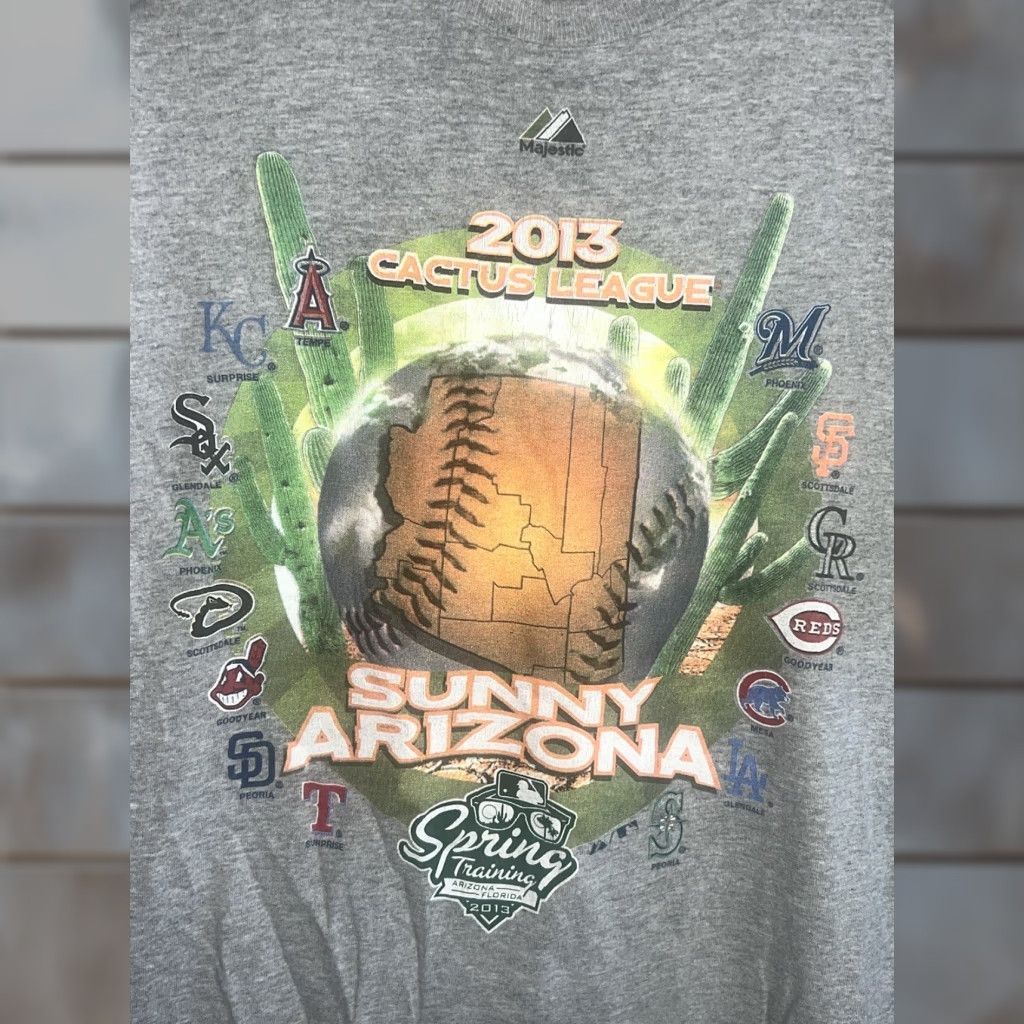 Vintage Majestic Mlb Spring Training T Shirt Men Gray Size L Hoodie, Sweatshirt | FlexRushtees.com