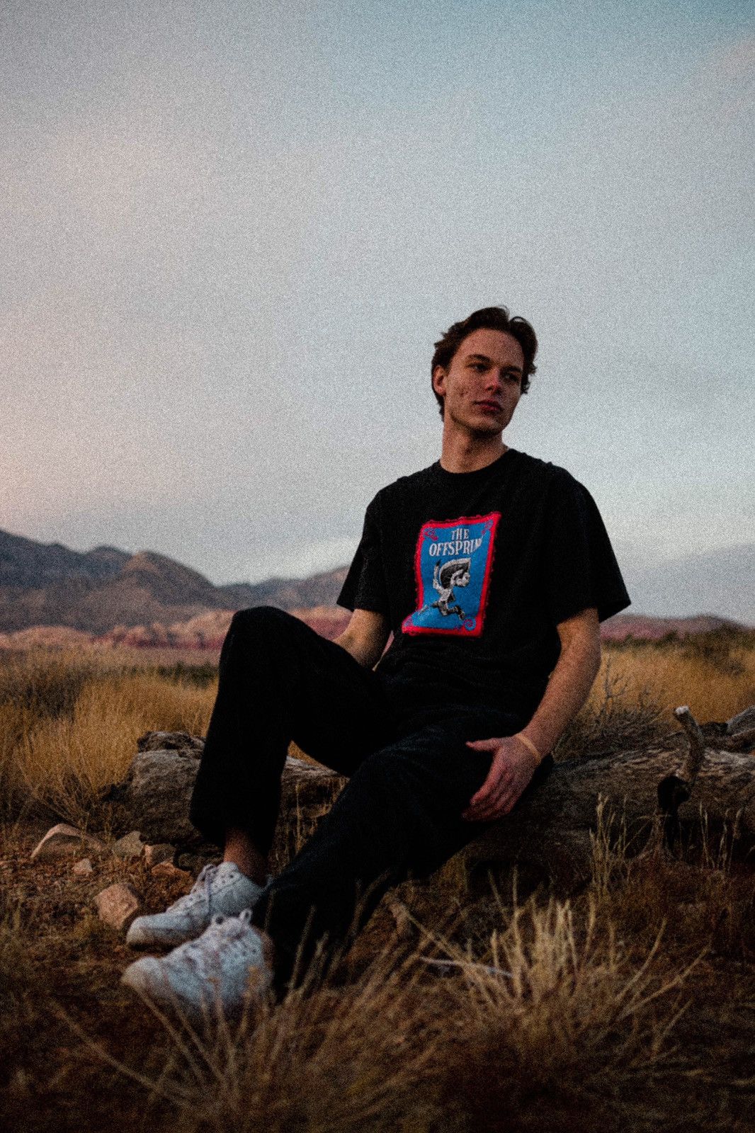 Vintage The Offspring North American Tour 1997 T-Shirts, Hoodie, Sweatshirt | FlexRushtees.com