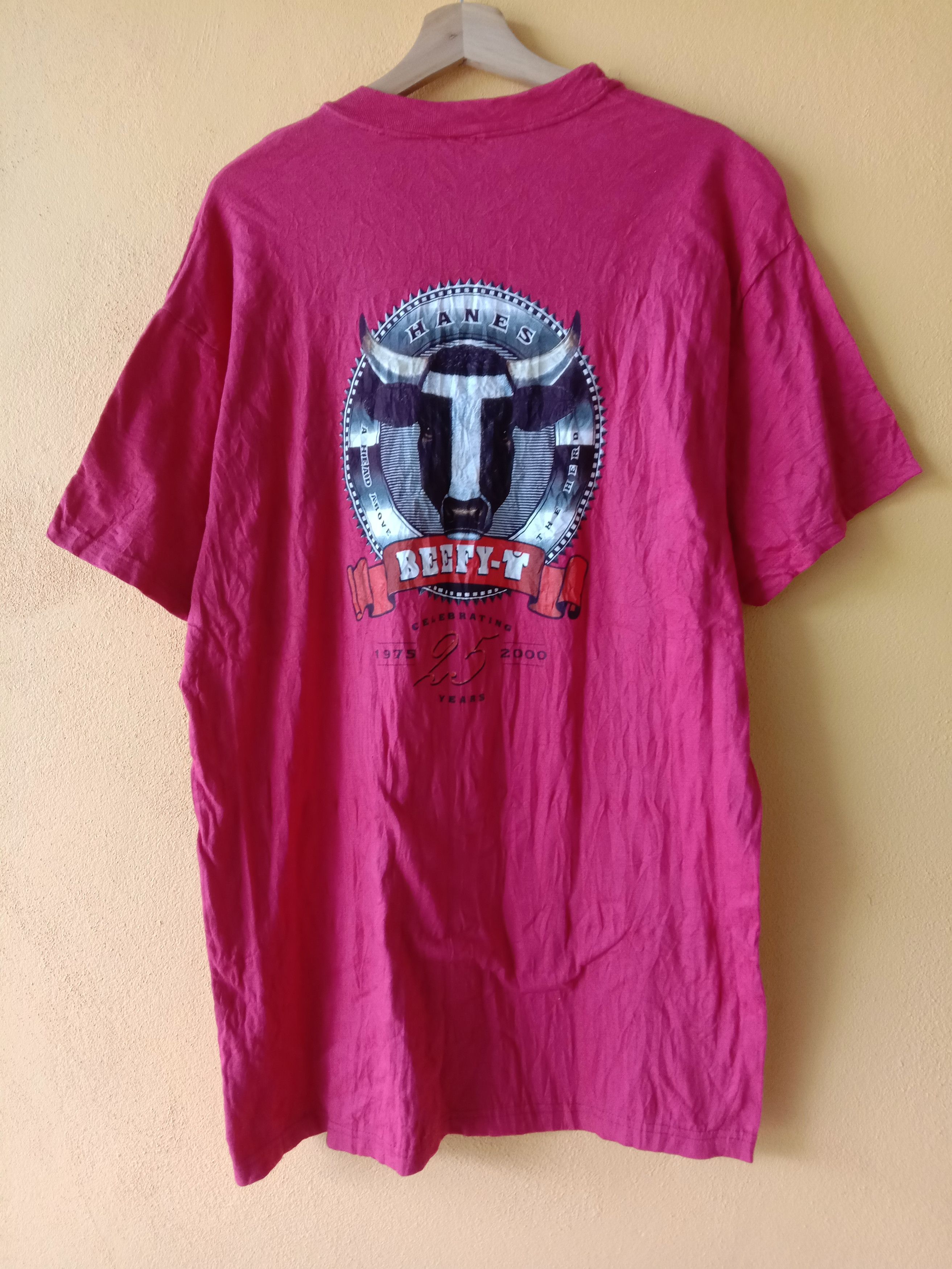 Vintage Hanes Beefy T Celebrating 25 Years 1975 2000