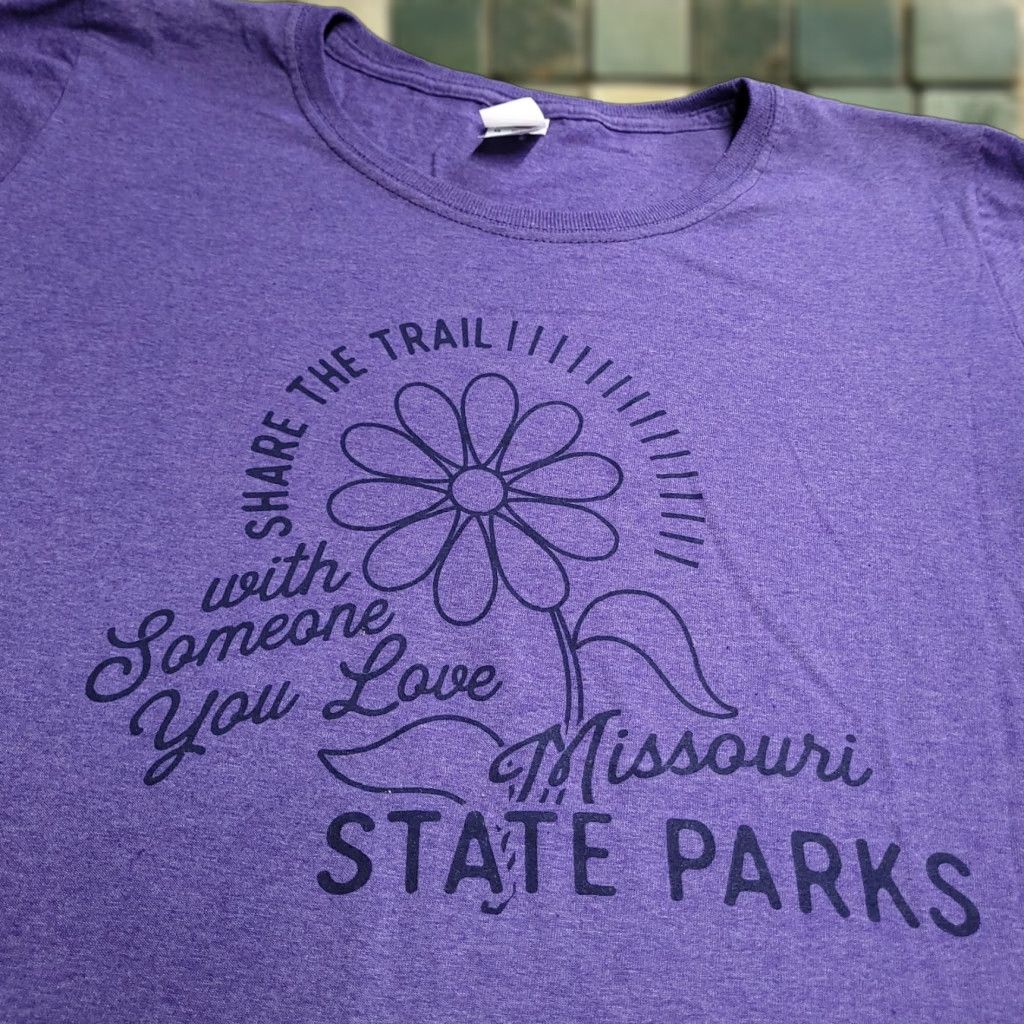 Fruit Of The Loom Fruit Of The Loom Missouri Hiking T Shirt Large Purple Graphic Casual Mountains Wo Hoodie, Sweatshirt