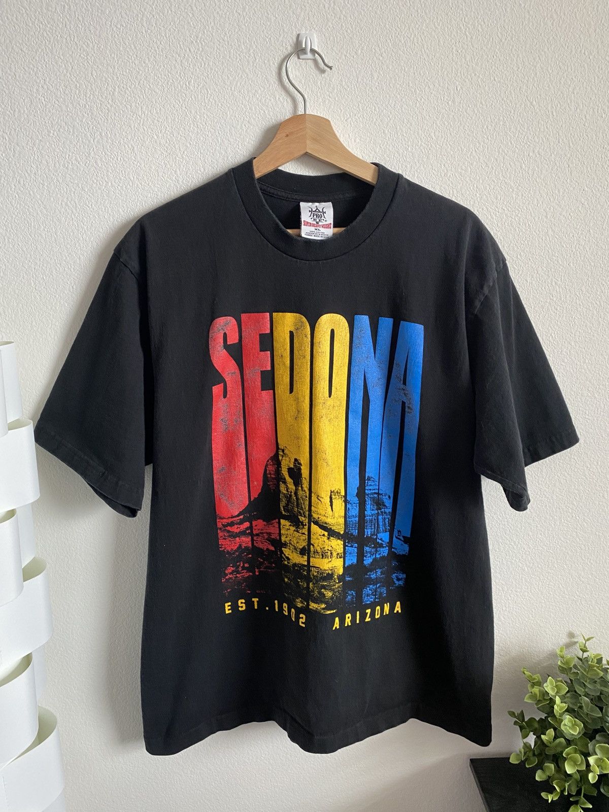 Vintage 00s Sedona Arizona Mountain Tee