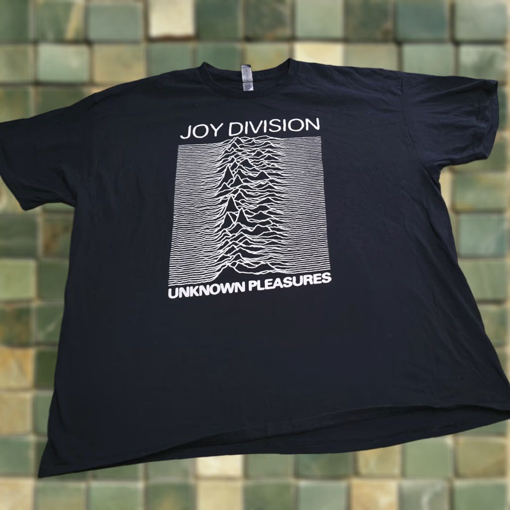 Gildan Vintage Joy Division Unknown Pleasures Band T Shirt Men Large Black Music 80s Concert Retro Hoodie, Sweatshirt