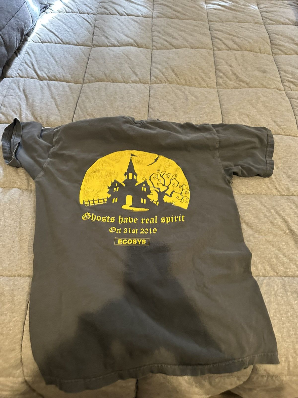 Ecosys 2019 Halloween Shirt Rare