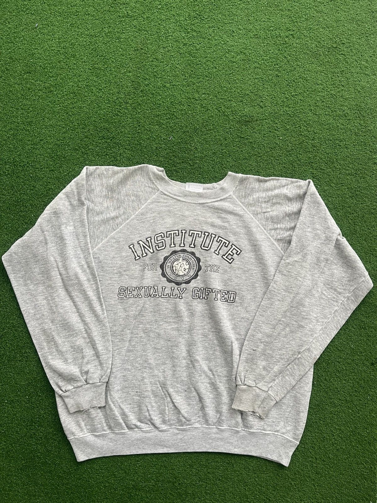 Vintage Hanes 80s Institute Sexually Gifted Tee Very Rare