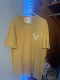 Vintage American Eagle Standard Fit T Shirt