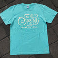 Band Tees Haruna Luna Spring Live 2014 Tee Hoodie, Sweatshirt | FlexRushtees.com