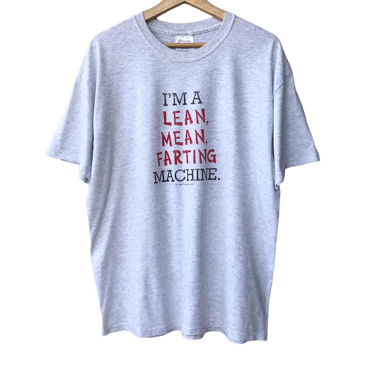 Hanes Usa Vintage 2000s Y2k Funny Wording Tee