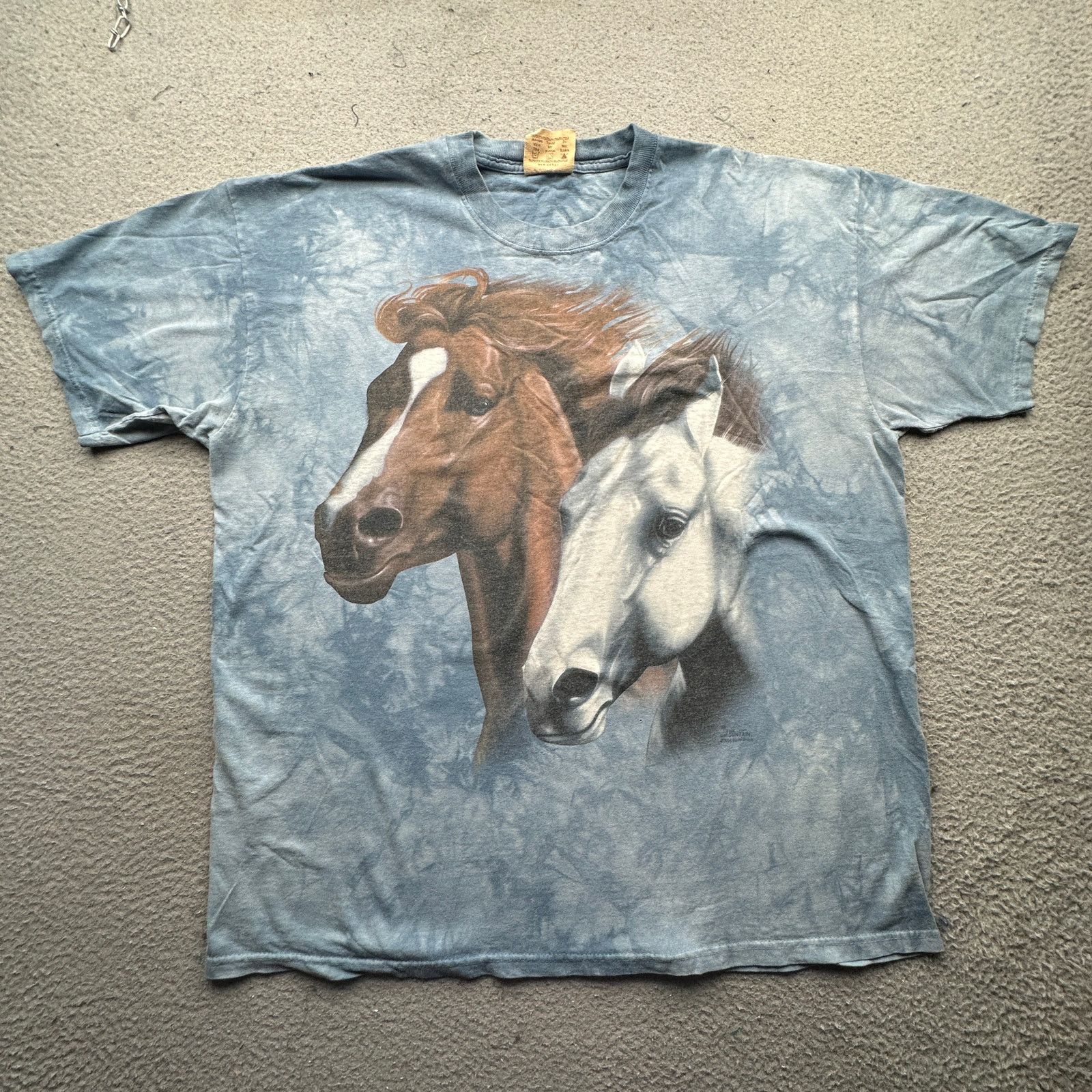 The Mountain Vintage 2004 Heading Home The Mountain T Shirt Mens Xl Blue