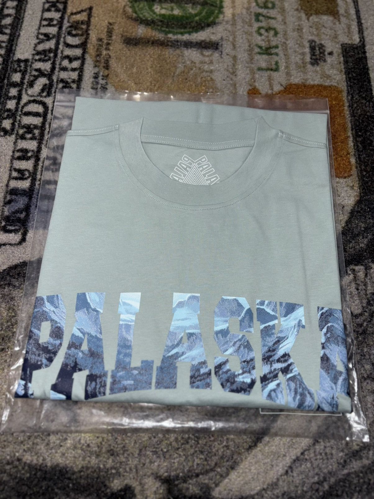 Palace Palaska T Shirt Hazy Green Hoodie, Sweatshirt | FlexRushtees.com