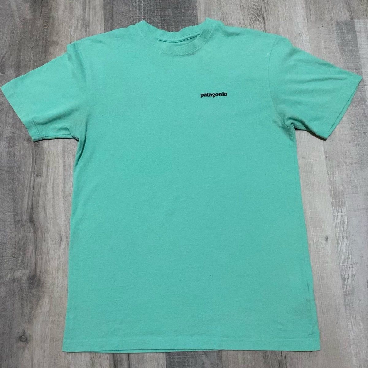 Patagonia Teal Blue Outdoor Mountain Hiking Tee