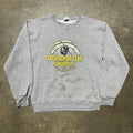 Vintage 2005 Appalachian State University Grey Sweatshirt